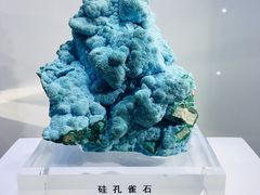 -中国地质大学逸夫博物馆