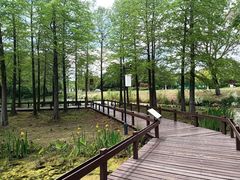 -梁鸿国家湿地公园