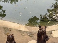 -石家庄市动物园