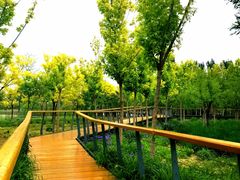 -东郊湿地公园