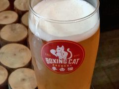 -Boxing Cat Brewery拳击猫精酿啤酒馆(永福店)