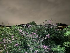 -福道