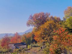 -塔川景区