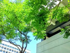 -上海大学(宝山校区)