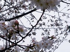 -堤角公园