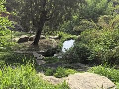 -泰山风景名胜区-虎山公园