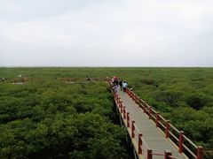 -北海金海湾红树林生态旅游区