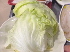 -芦月轩羊蝎子(北蜂窝店)