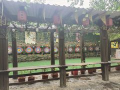 -合肥滨湖国家森林公园