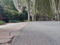 -郑州植物园