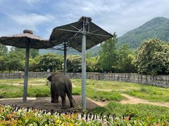 -西安秦岭野生动物园