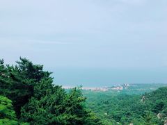 -崂山仰口游览区