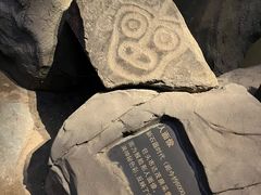 -包头博物馆
