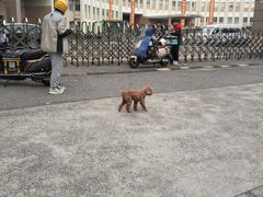 -上海市曹杨职业技术学校