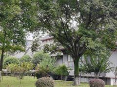 -四川大学(华西校区)