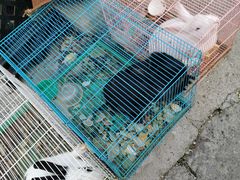 -京北渔家傲