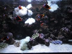 -暹罗海洋世界