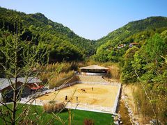 -宁海安岚·南溪阁全日餐厅