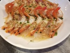 -新白鹿餐厅(百联中环店)