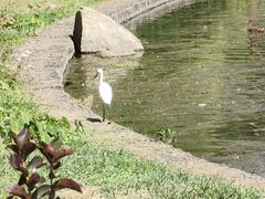 -和顺古镇