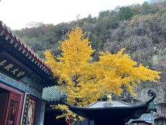 -千佛山风景名胜区