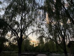 -阿尔丁植物园