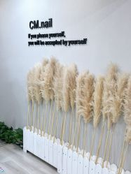 -CM.Nail美甲美睫