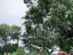 -洲头咀公园