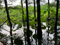 -云龙湖旅游景区