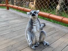 -北京野生动物园