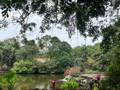 -海南热带野生动植物园
