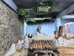 -海南热带野生动植物园