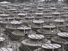 -厨邦酱油文化博览馆