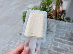 小小牛乳椰子-钟薛高(南头古城店)