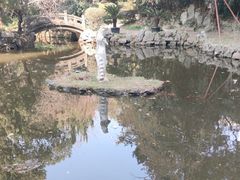 -华山医院-食堂