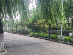 -济南国际园博园