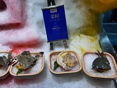 -海鼎荟海鲜姿造(晋江宝龙店)