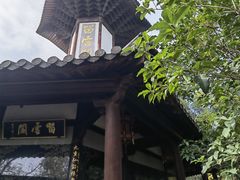 -上海佘山国家森林公园天马山园