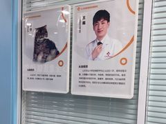 -全心全意连锁动物医院·微创中心·内科急重症·心脏专科(丰管路店)