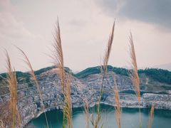 -黄埔油麻山森林公园
