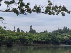 -慈城古县城景区