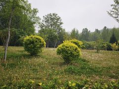 -石家庄市植物园