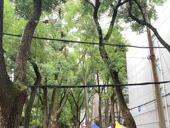 -中南财经政法大学(首义校区)