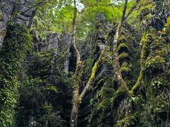 -梭布垭石林景区