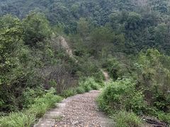 -马口生态公园