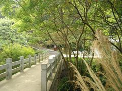 -羚羊峡古栈道森林公园