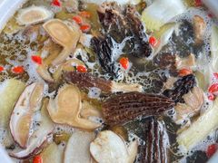 -蘑统田下·野生菌火锅