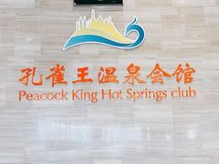 -齐河孔雀王温泉酒店·金孔雀自助百汇