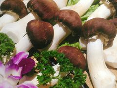 -番食园鲜食火锅(高新店)