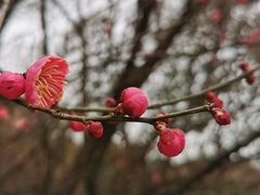 -南京市江宁方山